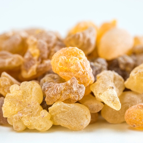 Frankincense Therepeutic Grade Oil 4